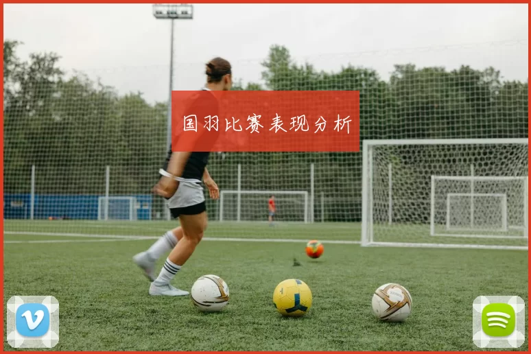 国羽比赛表现分析