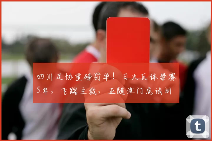 四川足协重磅罚单！日火瓦体禁赛5年，飞踹主裁，正随津门虎试训