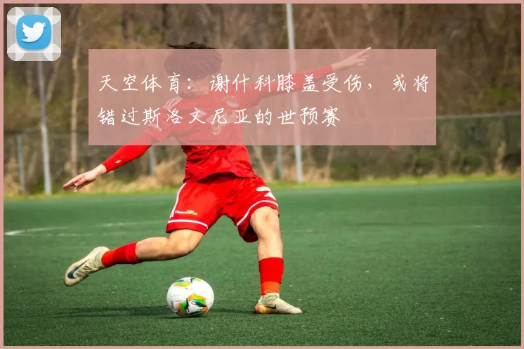 天空体育：谢什科膝盖受伤，或将错过斯洛文尼亚的世预赛