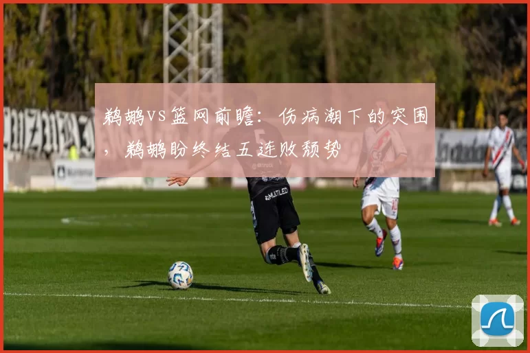 鹈鹕vs篮网前瞻：伤病潮下的突围，鹈鹕盼终结五连败颓势