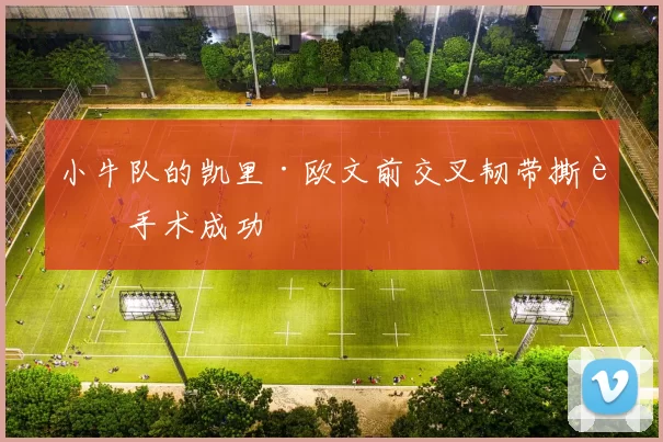 小牛队的凯里·欧文前交叉韧带撕裂手术成功