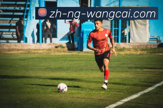 旺财28品牌故事